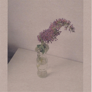 大屌猛男gay玩大鸟搞基手淫射精1069
