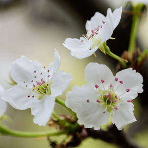 大屌猛男gay玩大鸟搞基手淫射精1069
